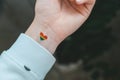 Closeup of young caucasian millennial hippie woman with a rainbow flag in heart shape painted in wrist. Rainbow color