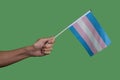 Person with a transgender pride flag Royalty Free Stock Photo