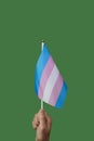 Person waving a transgender pride flag Royalty Free Stock Photo