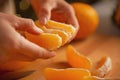 Closeup on young housewife dividing orange slices Royalty Free Stock Photo