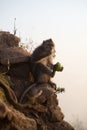 Closeup of a young monkey eating on a rock Royalty Free Stock Photo