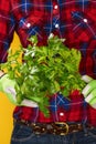 Closeup on young woman farmer showing fresh parsley Royalty Free Stock Photo