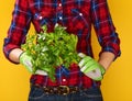Closeup on young woman farmer showing fresh parsley Royalty Free Stock Photo