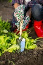 Closeup of young woman working with spade on garden bed Royalty Free Stock Photo