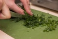 Closeupof woman cuts chilli pepper on wood