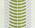 Closterium sp. - Charophyta algae under microscopic view x40, Green algae Royalty Free Stock Photo