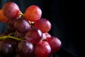 closu up red grapes in a white bowl in the dark corner Royalty Free Stock Photo