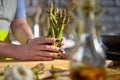 Closue-up image of woman holding a bunch of green asparagus in the kitchen. Cooking at home