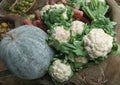 Closueup Cauliflower white and green vegtable image