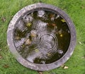 closup of circular water rings in a tiny tank Royalty Free Stock Photo