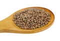 Closup of lentils with wooden spoon isolated on