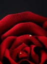 Closup of rose flower shaped cake on dark background