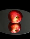 Closupe of a fresh red apple on a reflective surface Royalty Free Stock Photo