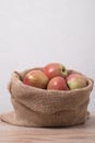 Eco apples. Spring farm apples. Royalty Free Stock Photo