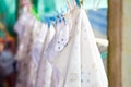 Cloth Diapers on a Clothesline Royalty Free Stock Photo