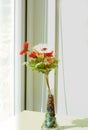 Cloth flower in glass jug on morning shine day.