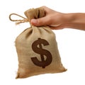 Cloth money bag in hand, side view, isolated on white or transparent background. Close-up of hand holding money bag Royalty Free Stock Photo