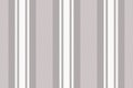 Seamless lines vector of stripe vertical background with a fabric textile texture pattern