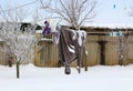 Clothes dried on a rope on a rural winter background