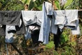 clothes drying on clothesline in the garden, stock photo image Royalty Free Stock Photo