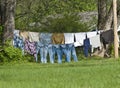 Clothes Drying Outdoors On Clothes Line
