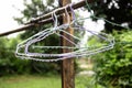 Clothes hangers with water droplets in rainy season hang on clothes line on a natural background Royalty Free Stock Photo