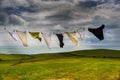 Clothes hanging on line Royalty Free Stock Photo