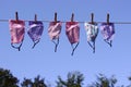 Clothes line full of face masks