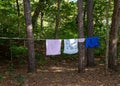 Clothes line in the woods Royalty Free Stock Photo