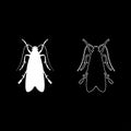 Clothes moth Clothing moth Fly insect pest icon set white color vector illustration flat style image