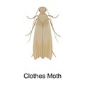 Clothes moth vector icon.Cartoon vector icon isolated on white background clothes moth.