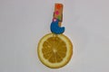 clothes peg and circle lemon on a white background combined in ice cream with copy space, creative summer design