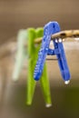 Clothes peg with water drops after rain Royalty Free Stock Photo