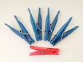 Clothes pegs. Color. Royalty Free Stock Photo