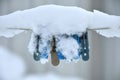 Clothes pegs, winter in frost