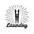 Clothes Pin icon. The Laundry logo, Dry Cleaning Service label. Clothes Pin in beams. Vector.