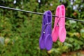 Clothes pin on a washing line Royalty Free Stock Photo