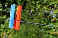 Clothes pin on a washing line Royalty Free Stock Photo