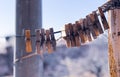 Colored clothes pins on the line on blurred background Royalty Free Stock Photo