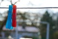blue and red clothes pin on a line in the garden