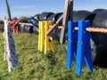 Clothesline With Clothes Pegs Closeup