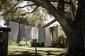 a clothesline strung between two trees, with freshly washed linens drying in the breeze Royalty Free Stock Photo