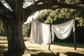a clothesline strung between two trees, with freshly washed linens drying in the breeze Royalty Free Stock Photo
