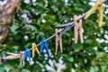 Clothespin hanging on a rope. Clothespins on the background of green leaves Royalty Free Stock Photo