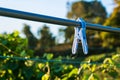 Clothespin hangs on a clothes line Royalty Free Stock Photo