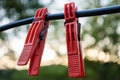 clothespin vivid color red hook on cable