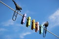 Clothespins on a background of blue sky with birds Royalty Free Stock Photo