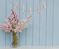 Clothespins and bunch of lilac Royalty Free Stock Photo