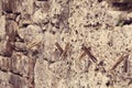 Clothespins hanging on a lace against an old wall, home life, everyday life, Abstract ancient Stone Wall Background Image. Great