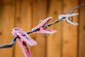 Clothespins on the wire for drying clothes Royalty Free Stock Photo